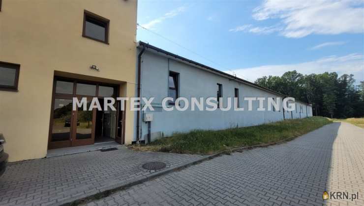 Rybnik, ul. , , Lokal użytkowy  do wynajęcia