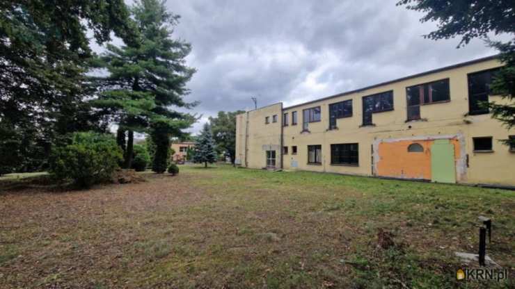 Lokal użytkowy  na sprzedaż, Poznań, ul. , 