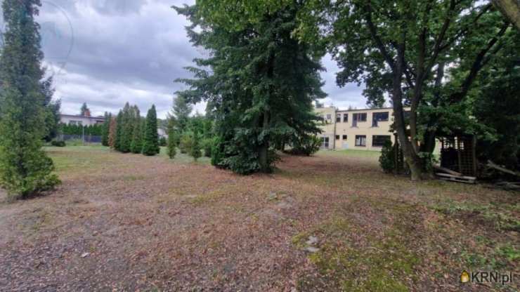 Poznań, ul. , Lokal użytkowy  na sprzedaż, 