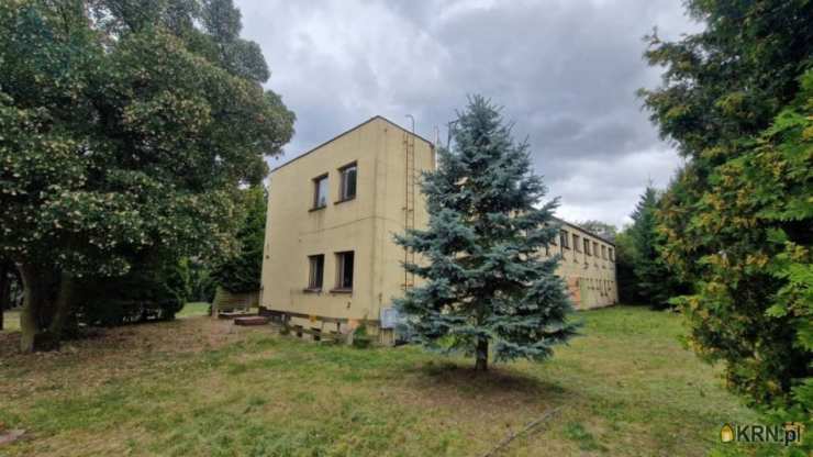 Zaniemyśl, ul. , , Lokal użytkowy  na sprzedaż