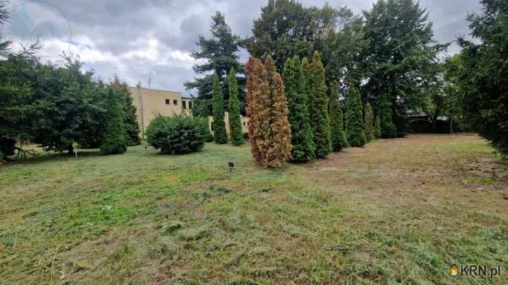 Zaniemyśl, ul. , Lokal użytkowy  na sprzedaż, 