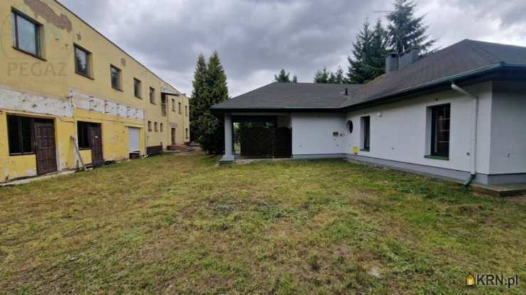 Zaniemyśl, ul. , , Lokal użytkowy  na sprzedaż