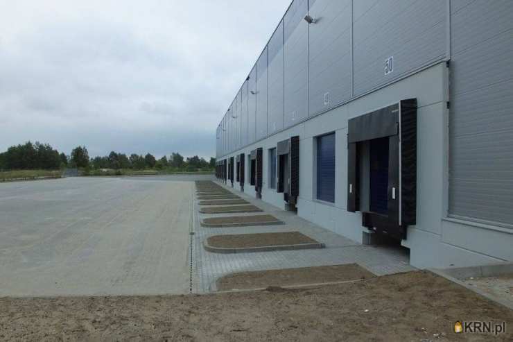 Lokal użytkowy  do wynajęcia, Gorzów Wielkopolski, ul. , 