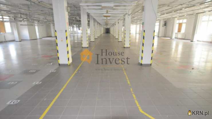 , Legnica, ul. , Lokal użytkowy  do wynajęcia