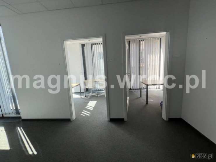 Wrocław, Stare Miasto, ul. Rynek, Lokal użytkowy  do wynajęcia, 