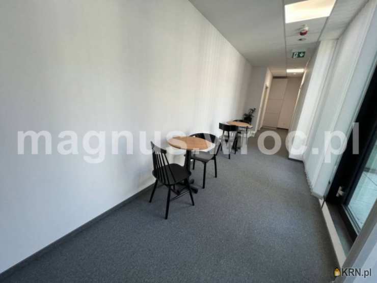 Wrocław, Stare Miasto, ul. Rynek, , Lokal użytkowy  do wynajęcia