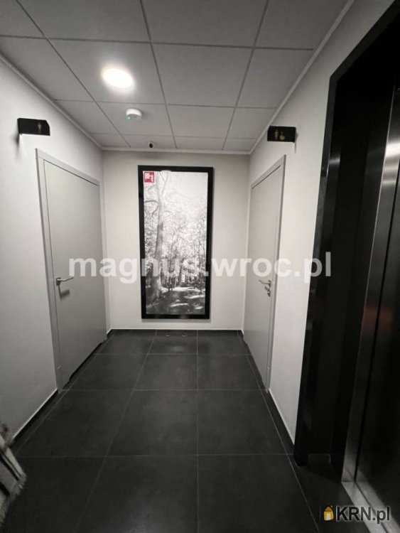 , Lokal użytkowy  do wynajęcia, Wrocław, Stare Miasto, ul. Rynek