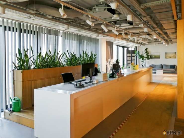 Wrocław, ul. , Lokal użytkowy  do wynajęcia, 