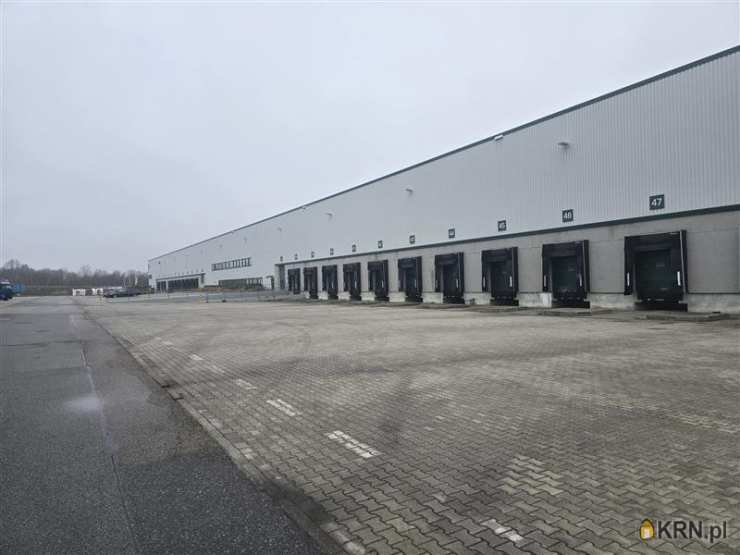 , Lokal użytkowy  do wynajęcia, Gdańsk, Kokoszki, ul. Budowlanych