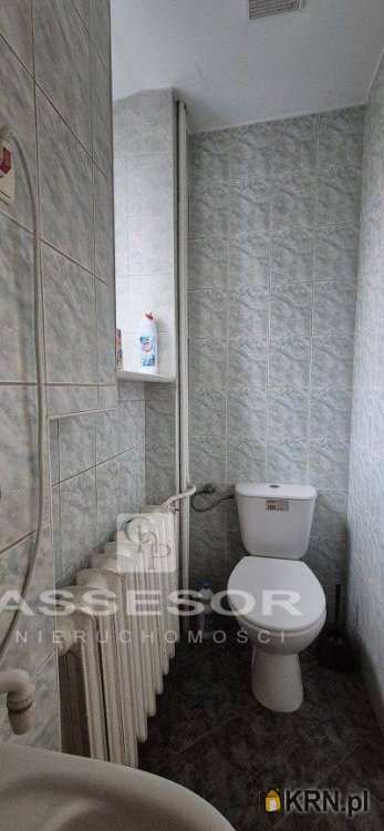 Kalisz, Asnyka, ul. , Lokal użytkowy  do wynajęcia, 