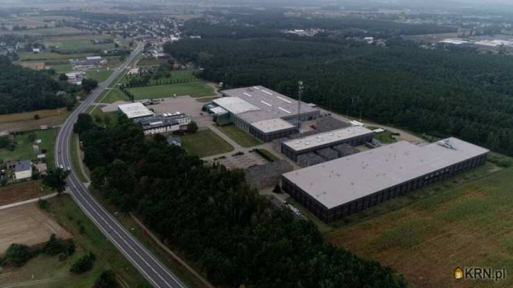 Zławieś Wielka, ul. , Lokal użytkowy  na sprzedaż, 