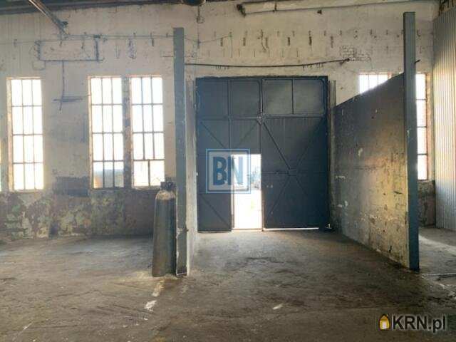 Lokal użytkowy  do wynajęcia, Gliwice, ul. , 3 pokojowe