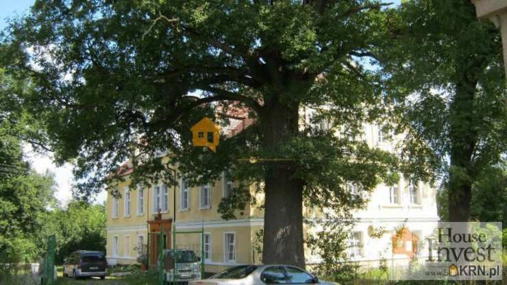 Miłkowice, ul. , 20 pokojowe, Lokal użytkowy  do wynajęcia