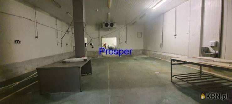 Lokal użytkowy  do wynajęcia, Mysłowice, ul. , 