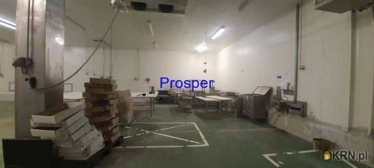 Mysłowice, ul. , Lokal użytkowy  do wynajęcia, 