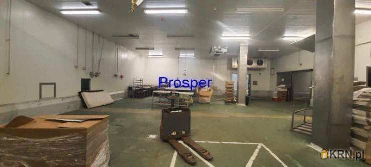 Mysłowice, ul. , , Lokal użytkowy  do wynajęcia