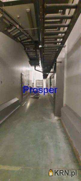 Prosper - Nieruchomości, Lokal użytkowy  do wynajęcia, Mysłowice, ul. 