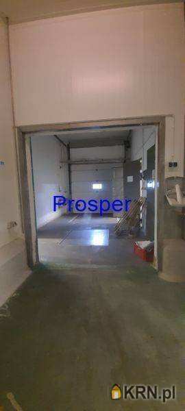 Mysłowice, ul. , Lokal użytkowy  do wynajęcia, 