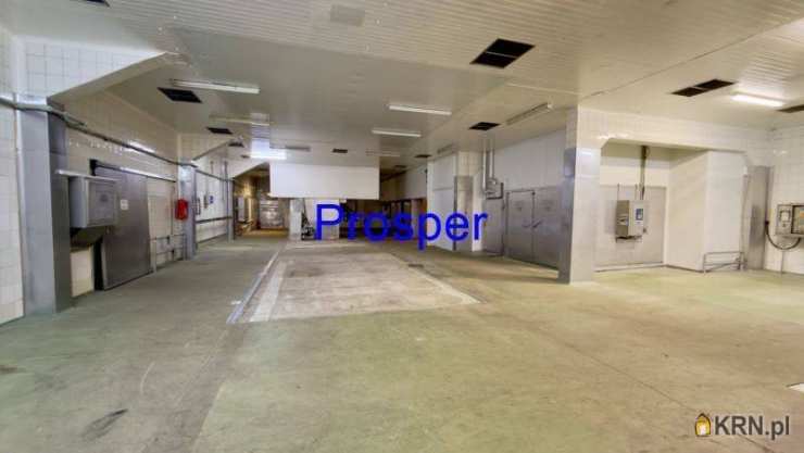 Lokal użytkowy  do wynajęcia, , Mysłowice, ul. 