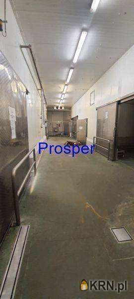 Prosper - Nieruchomości, Lokal użytkowy  do wynajęcia, Mysłowice, ul. 