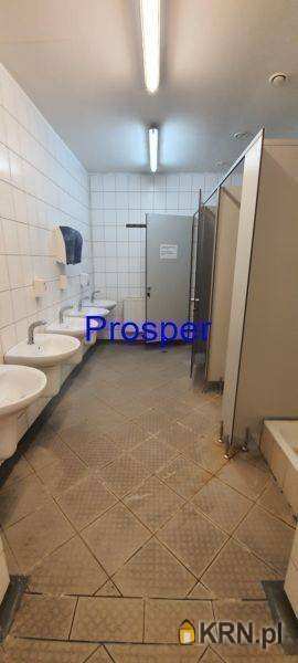 Mysłowice, ul. , , Lokal użytkowy  do wynajęcia