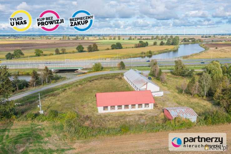 PARTNERZY Nieruchomości sp. z o.o., Lokal użytkowy  na sprzedaż, Nowy Dwór Gdański, ul. Rzeczna