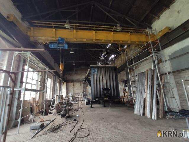 Lokal użytkowy  do wynajęcia, 5 pokojowe, Zabrze, ul. 