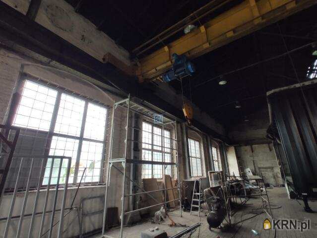 5 pokojowe, Zabrze, ul. , Lokal użytkowy  do wynajęcia