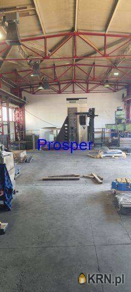 Lokal użytkowy  do wynajęcia, Zabrze, ul. , 