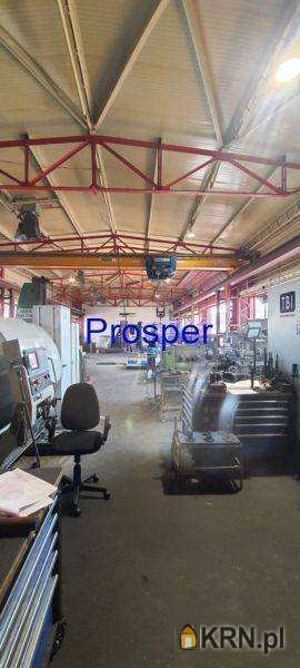 Zabrze, ul. , Lokal użytkowy  do wynajęcia, 