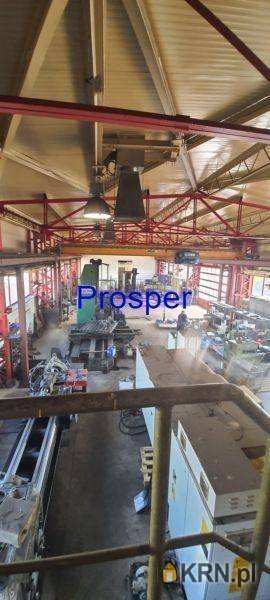 Prosper - Nieruchomości, Lokal użytkowy  do wynajęcia, Zabrze, ul. 