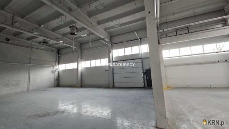 Olkusz, ul. , , Lokal użytkowy  do wynajęcia