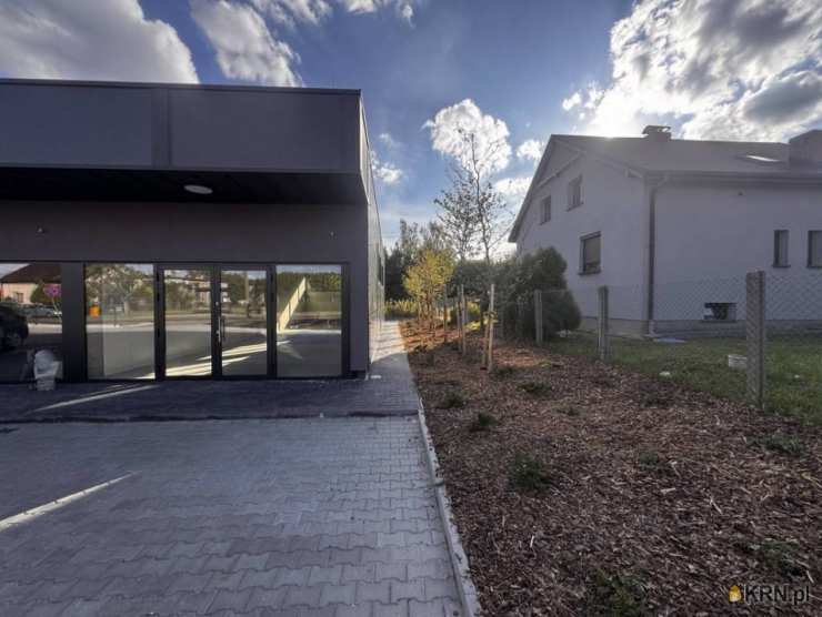 Lokal użytkowy  do wynajęcia, Gliwice, ul. , 1 pokojowe