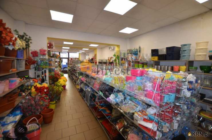 Legnica, ul. , Lokal użytkowy  do wynajęcia, 