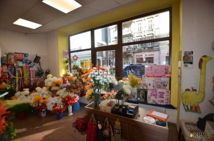 Legnica, ul. , , Lokal użytkowy  do wynajęcia