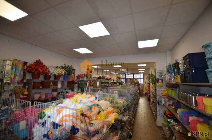 , Legnica, ul. , Lokal użytkowy  do wynajęcia