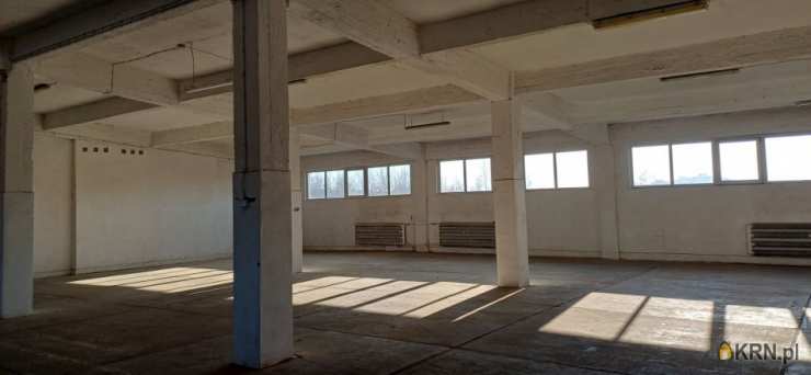 Lokal użytkowy  do wynajęcia, Sosnowiec, Pogoń, ul. Ptasia, 