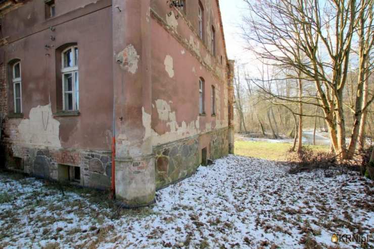 Motyl, ul. , , Lokal użytkowy  na sprzedaż