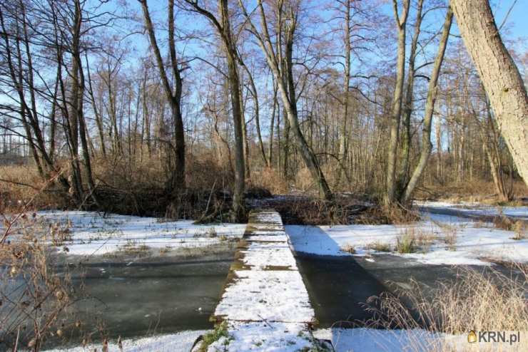 , Lokal użytkowy  na sprzedaż, Motyl, ul. 
