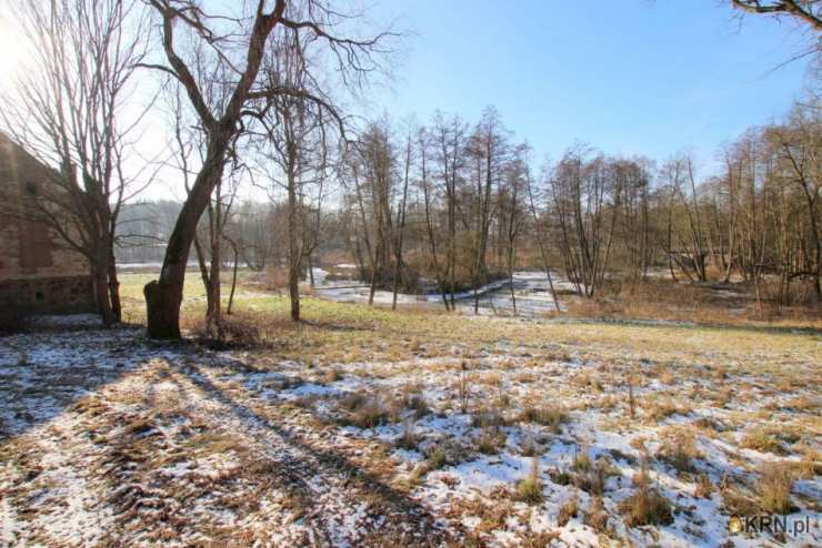 LCM Investment Group Sp. z o.o., Lokal użytkowy  na sprzedaż, Motyl, ul. 