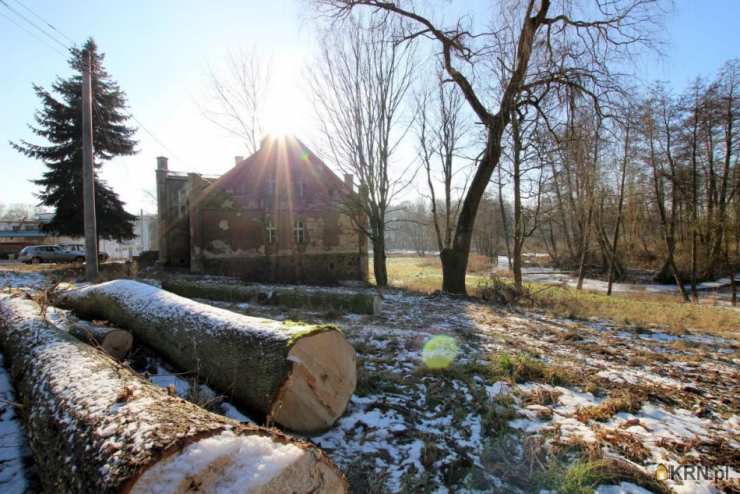 Motyl, ul. , Lokal użytkowy  na sprzedaż, 