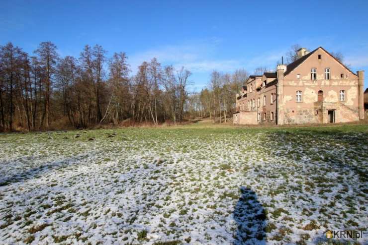 LCM Investment Group Sp. z o.o., Lokal użytkowy  na sprzedaż, Motyl, ul. 