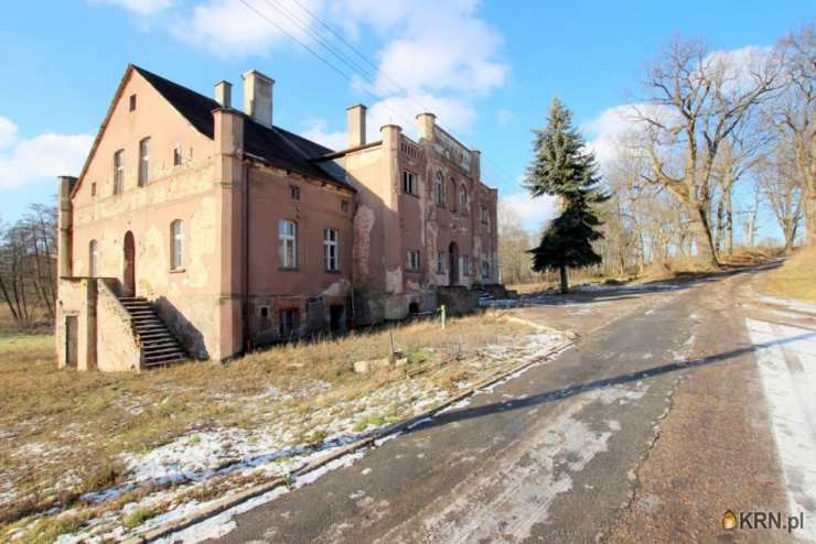 Motyl, ul. , Lokal użytkowy  na sprzedaż, 