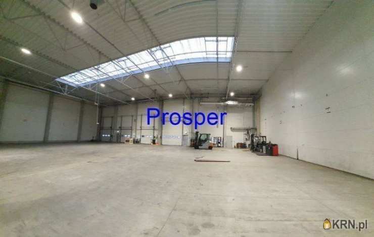 Lokal użytkowy  do wynajęcia, Pszczyna, ul. , 