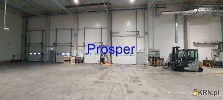 Prosper - Nieruchomości, Lokal użytkowy  do wynajęcia, Pszczyna, ul. 