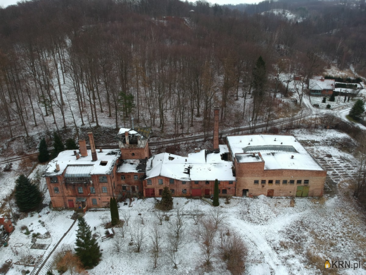 Lokal użytkowy  na sprzedaż, 15 pokojowe, kadyny, ul. 
