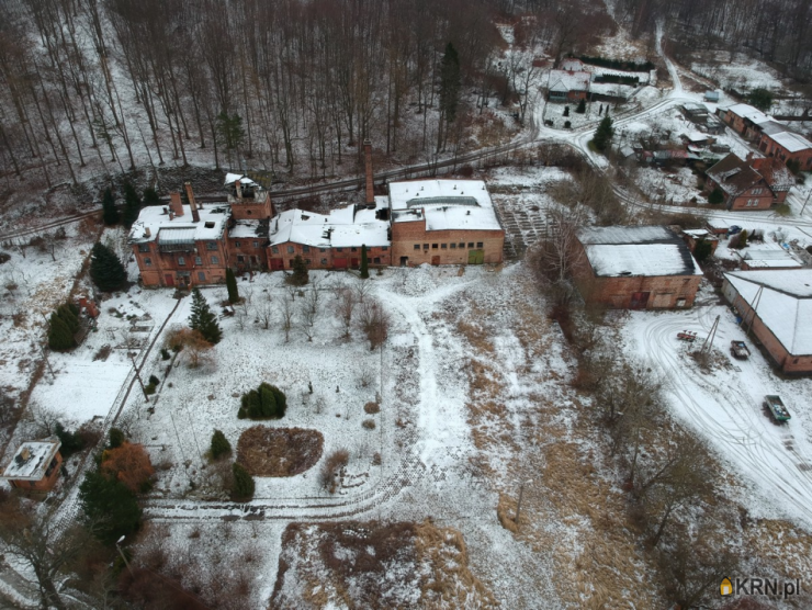 kadyny, ul. , 15 pokojowe, Lokal użytkowy  na sprzedaż