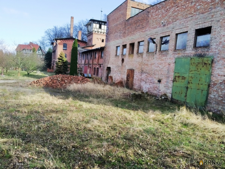 Lokal użytkowy  na sprzedaż, 15 pokojowe, kadyny, ul. 