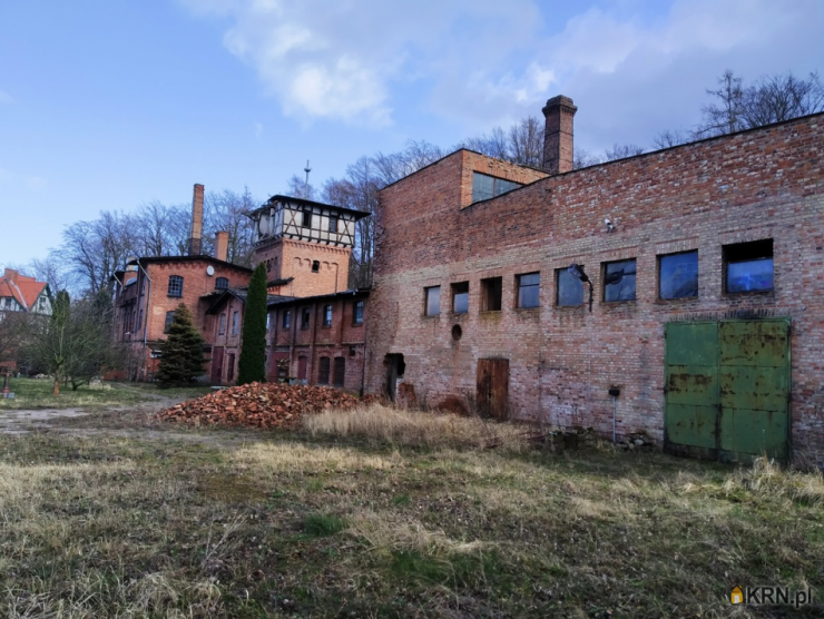kadyny, ul. , Lokal użytkowy  na sprzedaż, 15 pokojowe