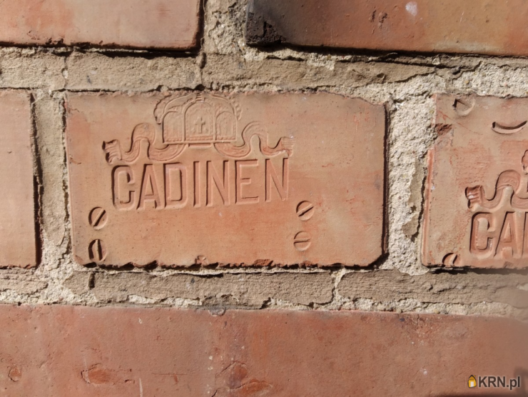 15 pokojowe, kadyny, ul. , Lokal użytkowy  na sprzedaż